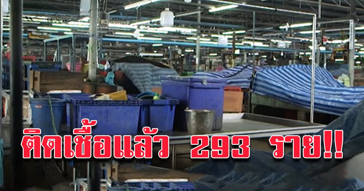 โควิดตตลาดบางแค