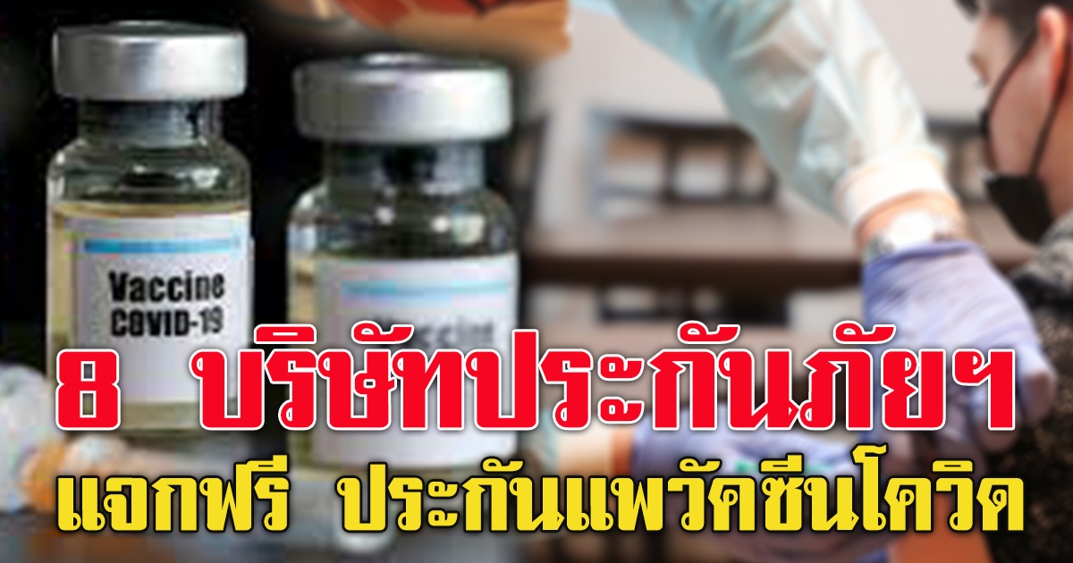 8 บริษัท แจกฟรี ประกัน