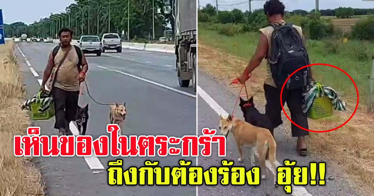 หนุ่มจูงสุนัขเดินเท้าจากพิษณุโลก สิงห์บุรี หวังเที่ยวสนามหลวง