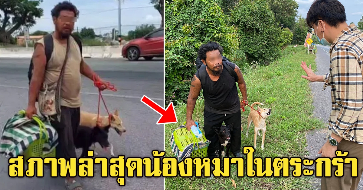 หนุ่มเดินจูงสุนัขไปสนามหลวง