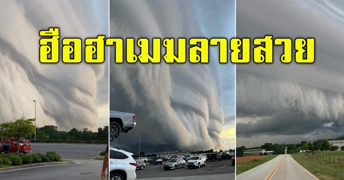 ปรากฏการณ์ธรรมชาติ