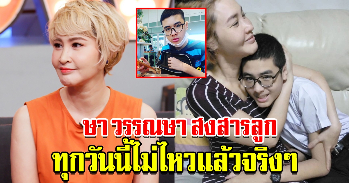 ษา วรรณษา โพสต์เศร้าหลังลูกชาย