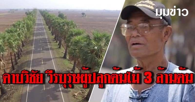 ผลงาน ดาบวิชัย วีรบุรุษผู้ปลูกต้นไม้ 3 ล้านต้น ตั้งแต่ปี 2531