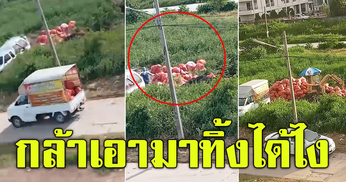 รถขนของทิ้งกลางวันแสกๆ