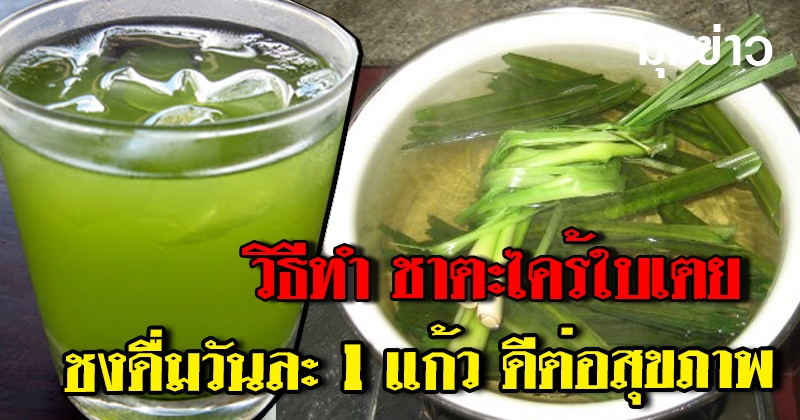 วิธีทำ ชาตะไคร้ใบเตย ชงดื่มวันละ 1 แก้ว มีประโยชน์