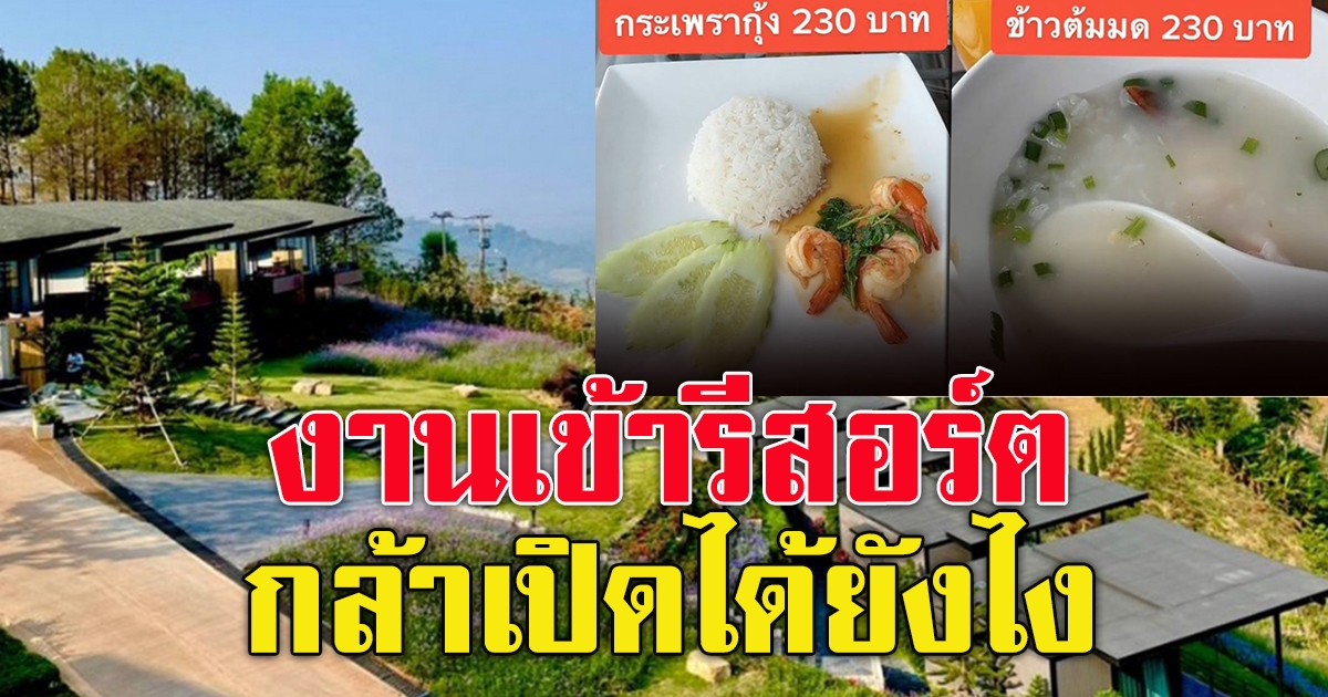 ข้าวต้มมด รีสอร์ตหรูเขาค้อ