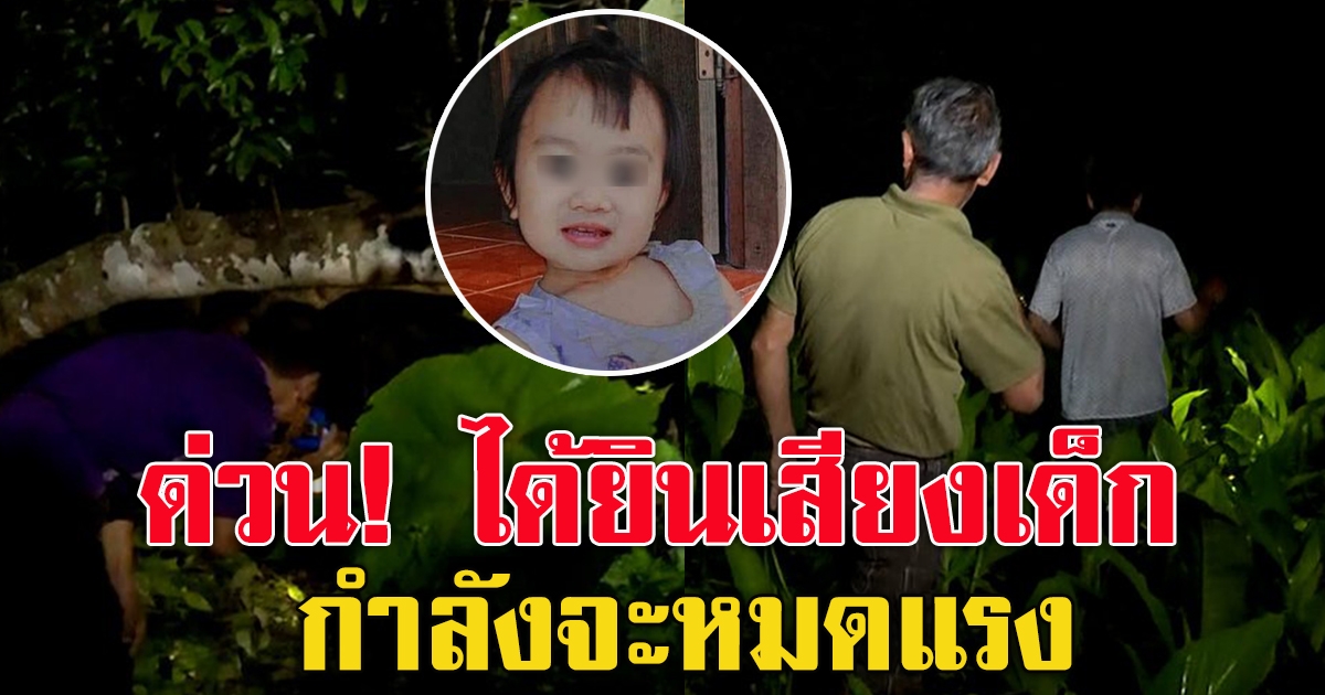 พ่อน้องจีน่าบุก ป่ากลางดึก