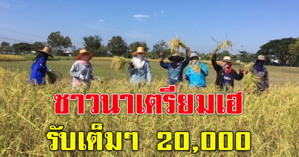 ช่วยชาวนา ไร่ละ 1000