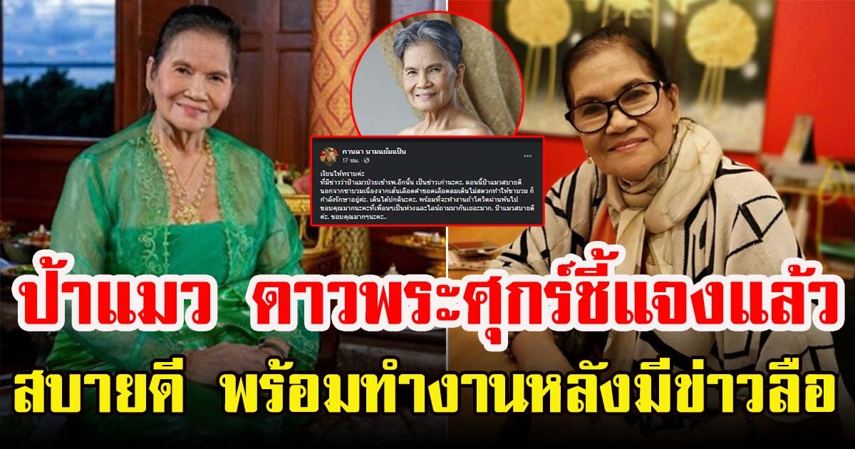 ป้าแมว ดาวพระศุกร์