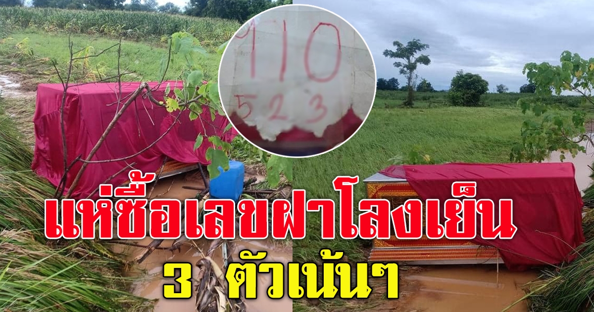 โลงเย็นโผล่กลางนา