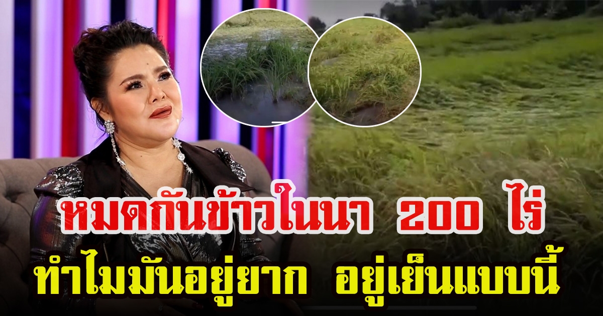 ฮาย อาภาพร เปิดใจ นาข้าว 200 ไร่น้ำท่วมหมด