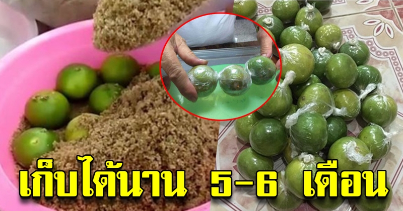 วิธีการเก็บมะนาว ให้สดใหม่ได้นานกว่า 5-6 เดือน