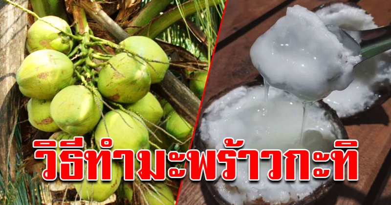 เทคนิคง่ายๆ วิธีบังคับมะพร้าวสุดแสนธรรมดาให้เป็น มะพร้าวกะทิ ทำกินเองได้