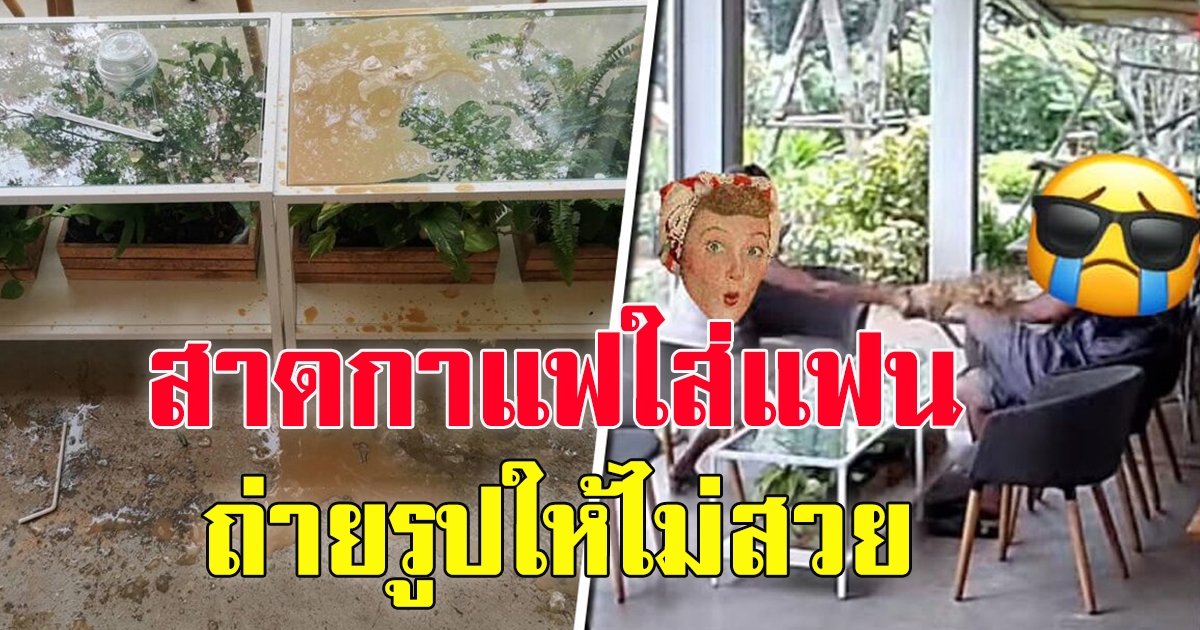 คาเฟ่เขาใหญ่ รวมวีรกรรมลูกค้าที่รัก