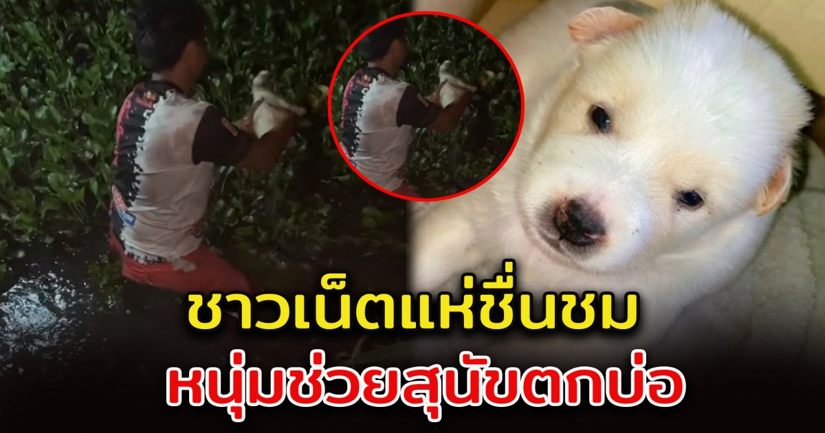 ชาวโซเชียลแห่ชม หนุ่มช่วยลูกสุนัข หลังได้ยินเสียงร้องกลางทุ่งนา