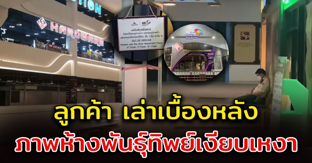 ลูกค้า เผยเบื้องหลัง ห้างพันธุ์ทิพย์ไม่มีคนเดิน ร้านค้าปิดเพียบ