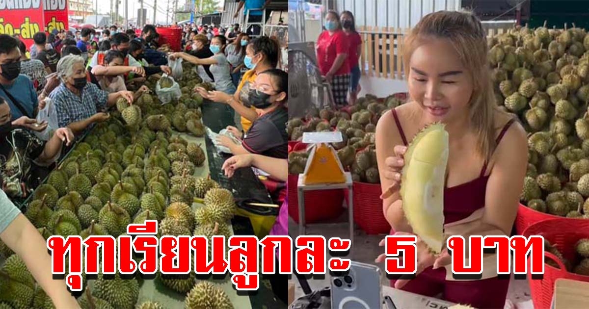 คนนับพัน ต่อคิวซื้อทุเรียนหมอนทอง ลูกละ 5 บ.
