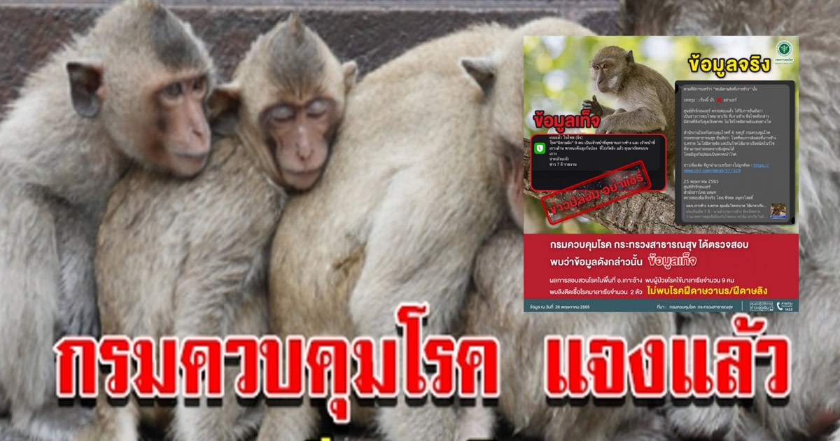 กรมควบคุมโรค ชี้แจงประเด็นหลังโซเชียลแชร์ พบฝีดาษลิง ในไทย 9 ราย