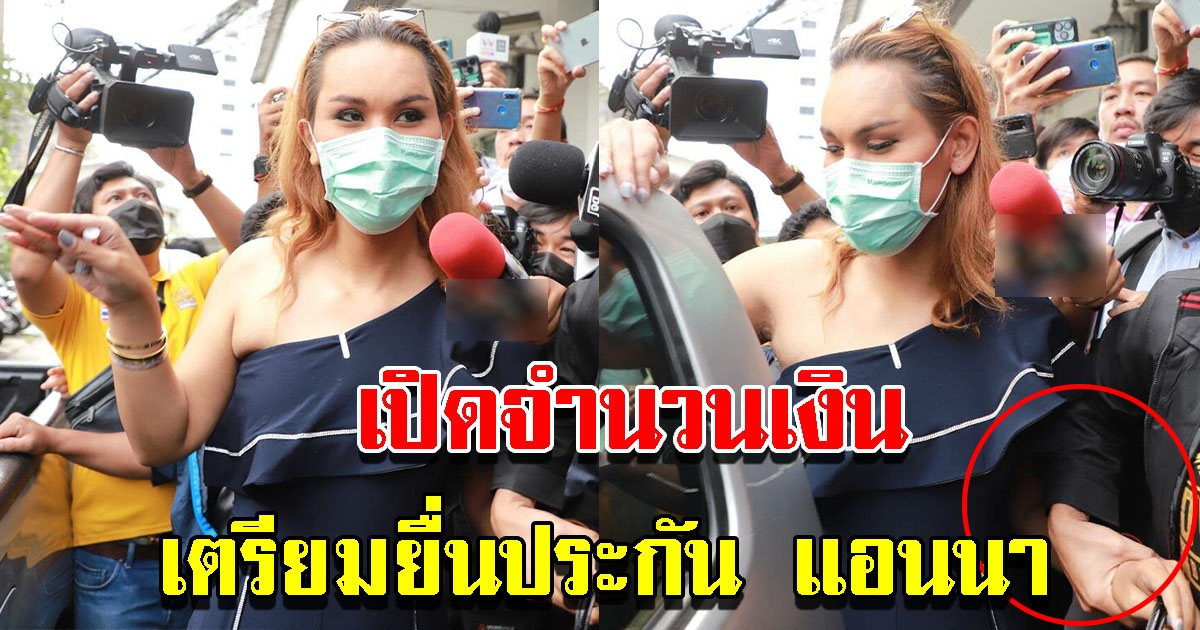 ทนายเตรียม ยื่นประกัน แอนนา