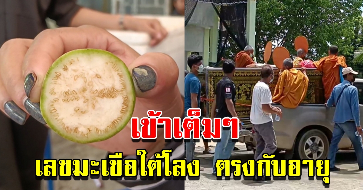 เข้าเต็ม เลขมะเขือใต้โลง ตรงกับอายุผู้เสียชีวิตพอดี