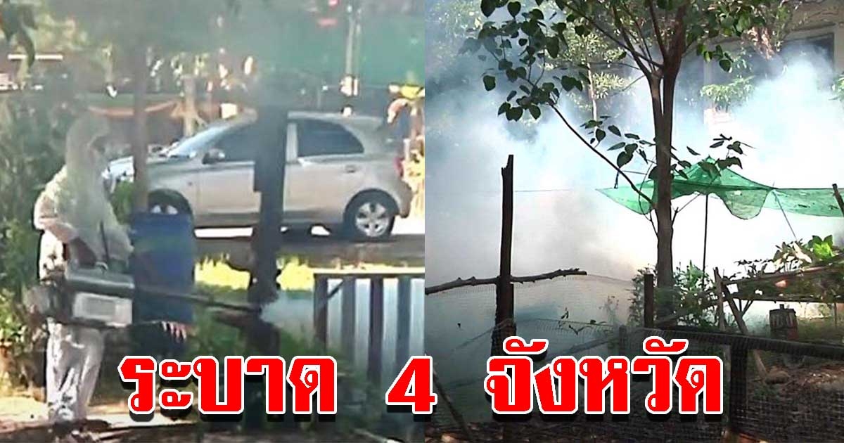 ไข้เลือดออก ระบาด 4 จังหวัด