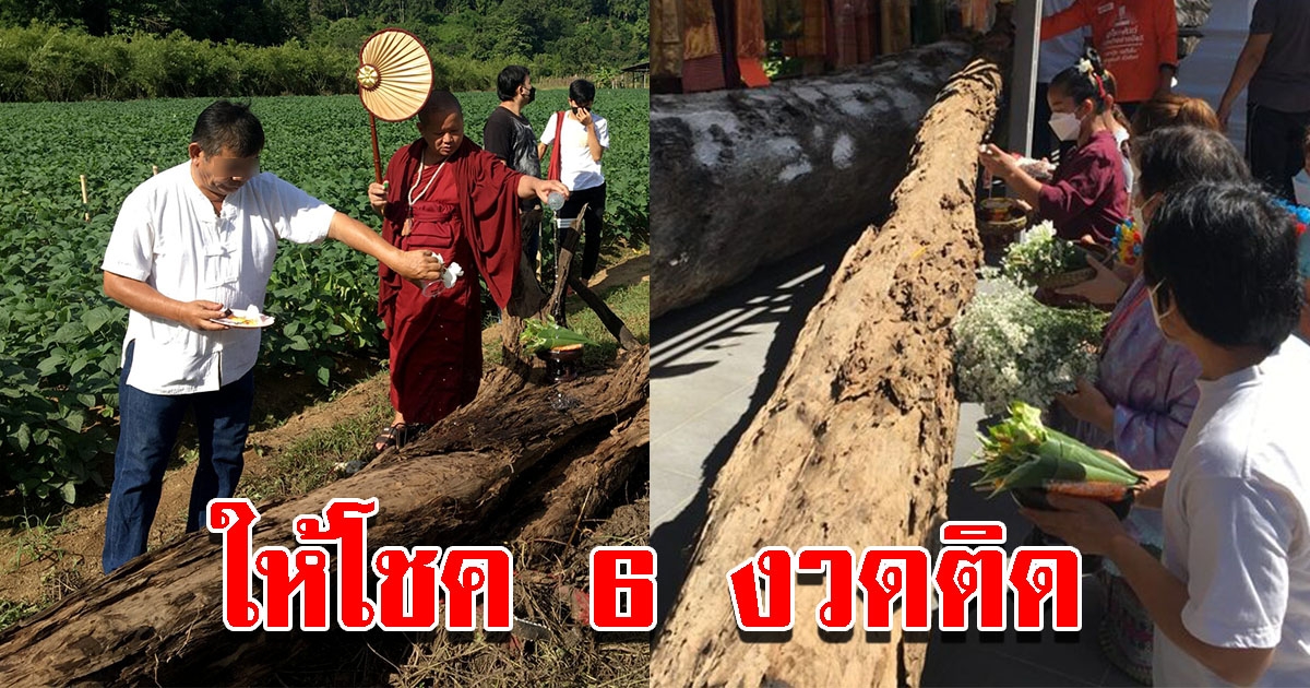 เจ้าของที่นิมนต์ พระอาจารย์โต เชิญต้นตะเคียน หลังให้โชค 6 งวดติด