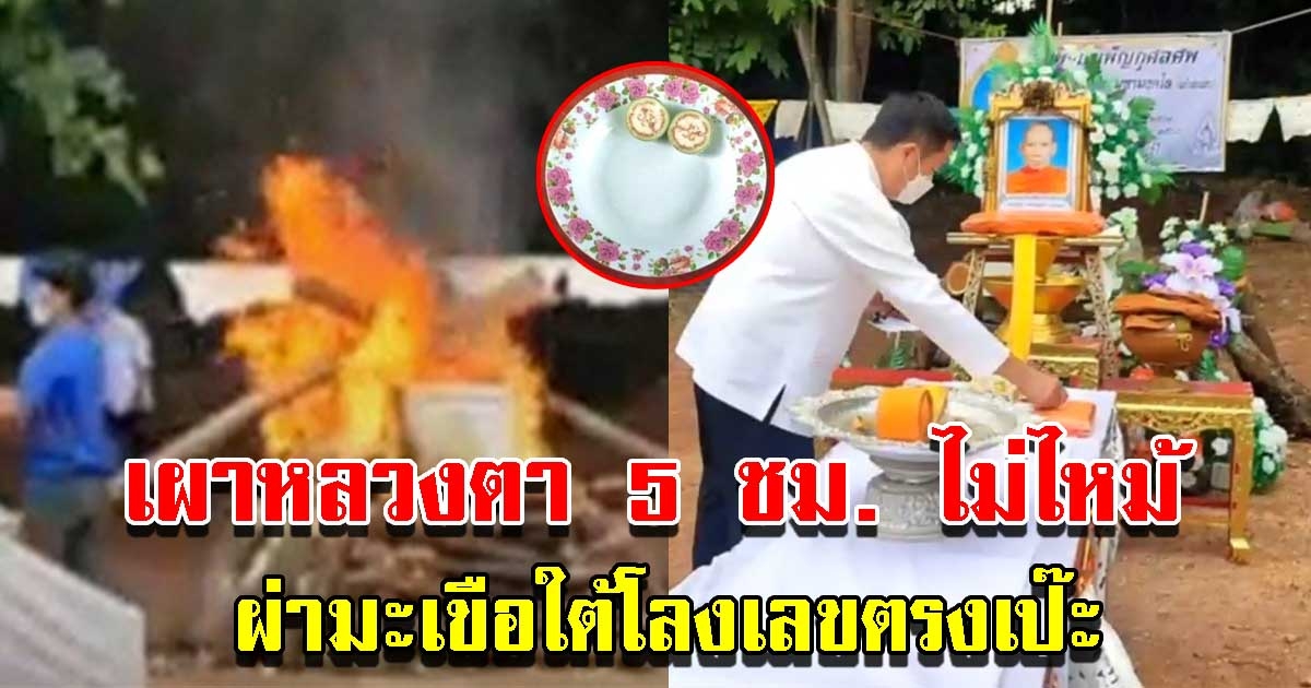 เผาหลวงตา 5 ชม. ร่างยังไม่ไหม้ ผ่ามะเขือใต้โลงเลขตรงเป๊ะ