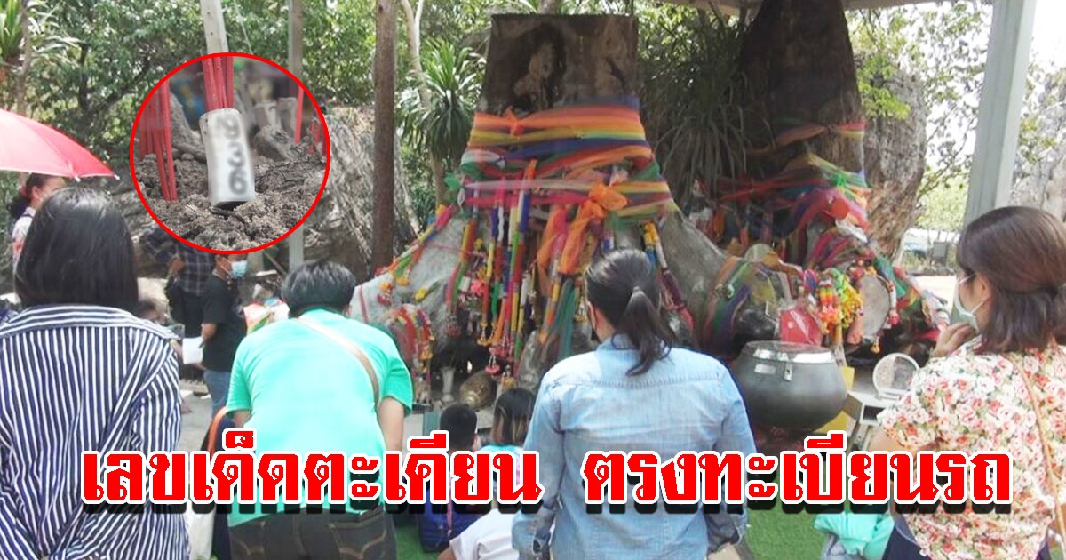 เลขเด็ดตะเคียนพันปีพี่น้อง ตรงทะเบียนรถ