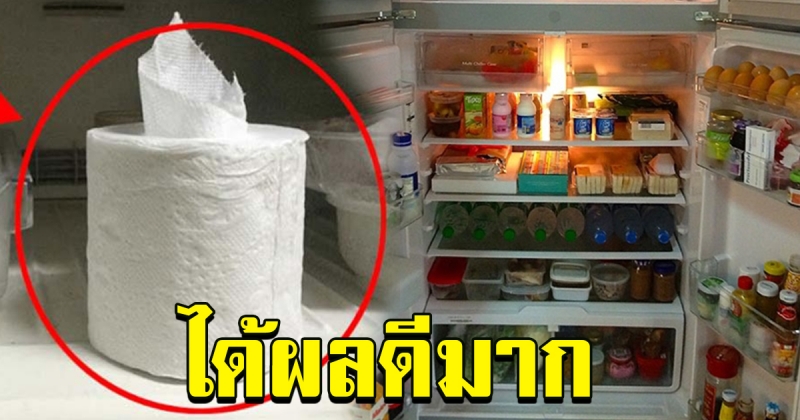 สิ่งเล็กน้อยที่หลายคนมองข้าม เพียงใส่ม้วนทิชชู้ไว้ในตู้เย็น