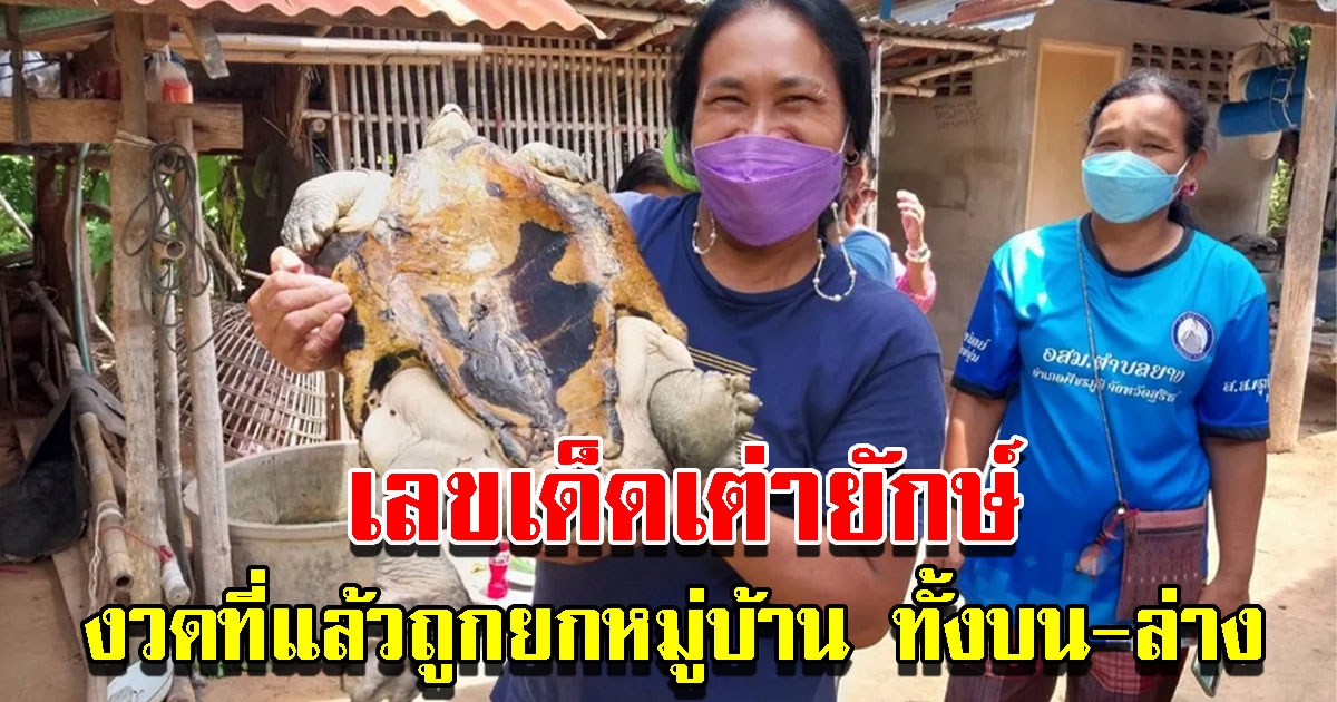 เลขเต่ากระดองพระสมเด็จ รอบที่แล้วให้ตรงเผงบน-ล่าง ถูกกันทั้งหมู่บ้าน