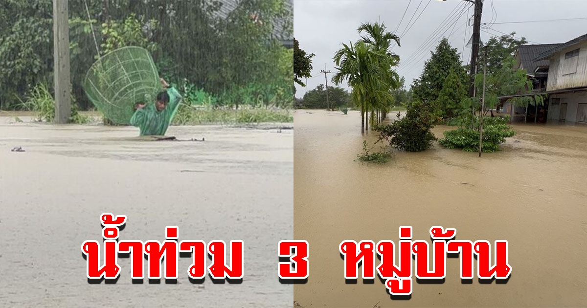 ฝนตกข้ามคืน น้ำป่าไหลหลากท่วม 3 หมู่บ้าน ประสบภัยกว่า 20 หลังคาเรือน