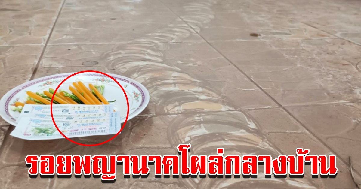 พบรอยประหลาด โผล่กลางบ้านติดแม่น้ำโขง ที่นครพนม เชื่อพญานาค