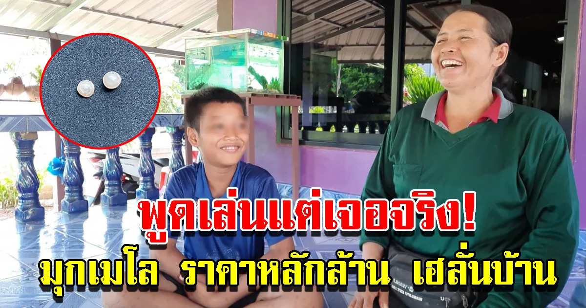 เจออีก ไข่มุกเมโล ในหอยตัวสุดท้าย ราคาหลักล้าน เฮกันลั่นบ้าน