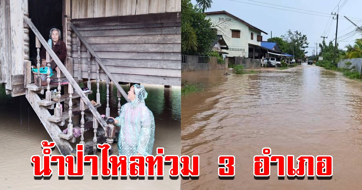 ฝนถล่มหนัก น้ำป่าไหลหลากท่วม 3 ตำบล 8 หมู่บ้าน