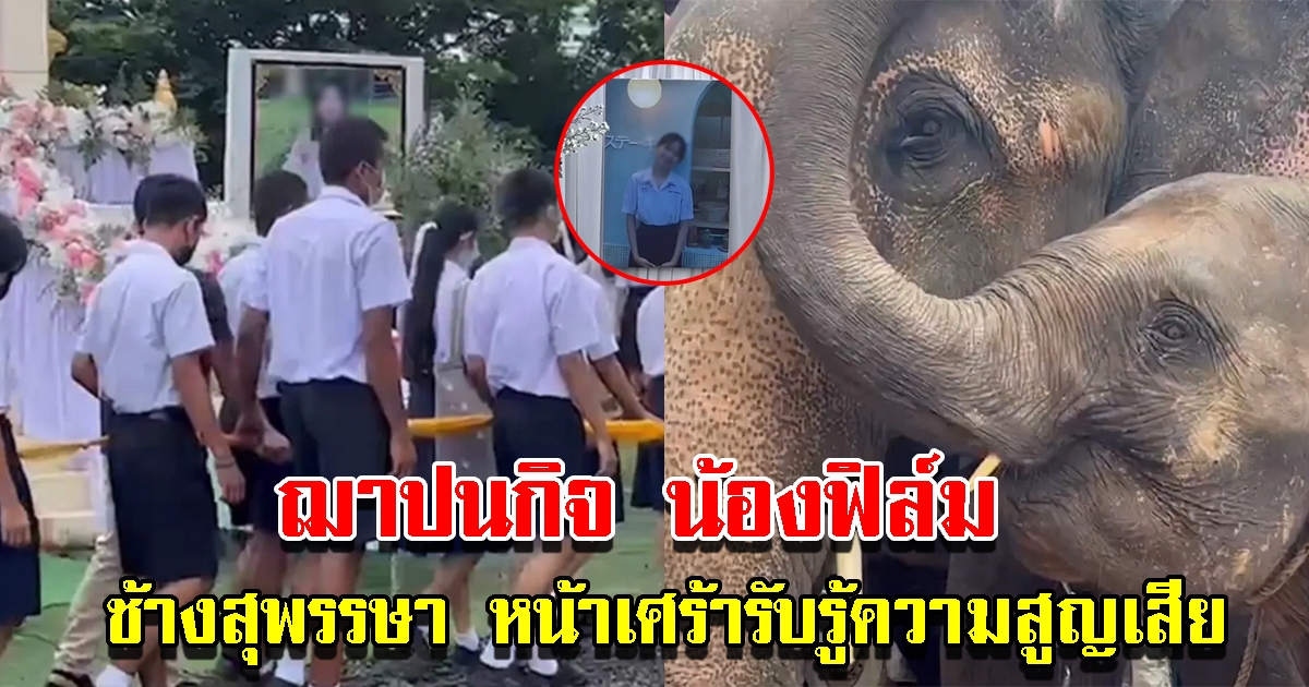 ฌาปนกิจน้องฟิล์ม นักเรียน ม.6 ดับในป่าข้างโรงเรียน ช้างสุพรรษาหน้าเศร้า