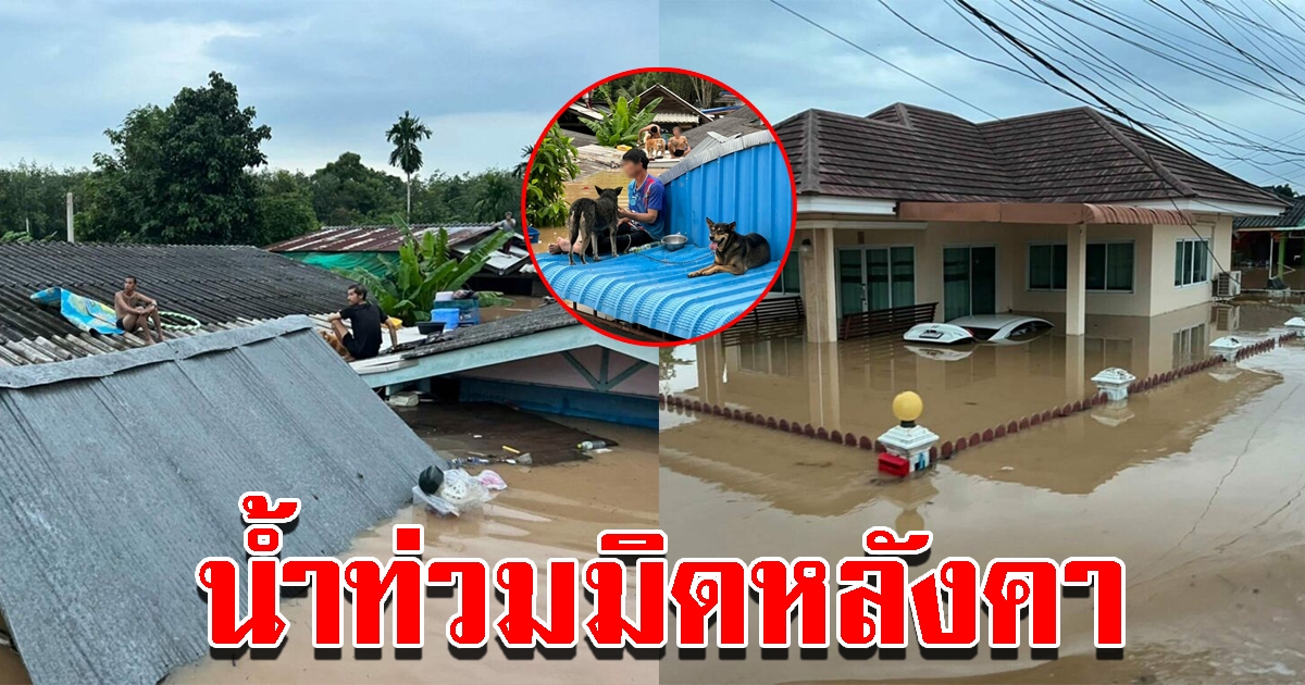 น้ำหลากท่วมบ้านจม ต้องหอบชีวิตขึ้นหลังคา