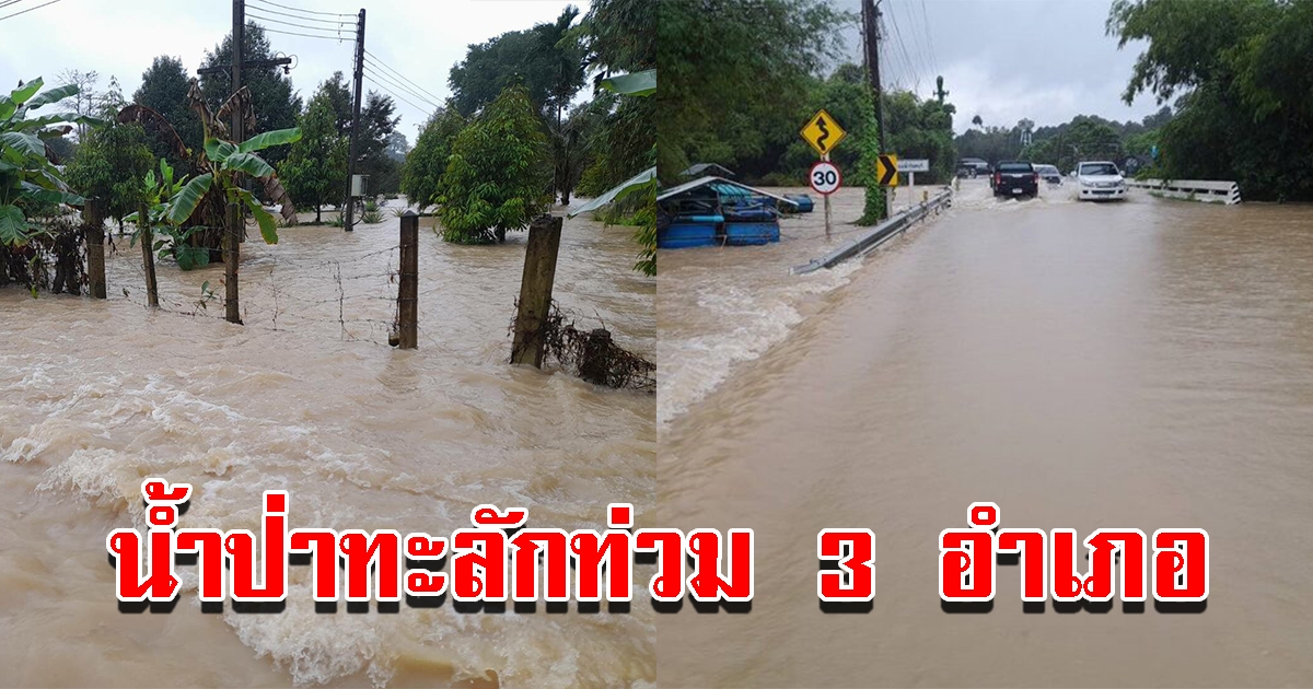 ฝนตกหนัก น้ำป่าไหลหลากเอ่อท่วมพื้นที่ บ้านเรือนประชาชน 3 อำเภอ