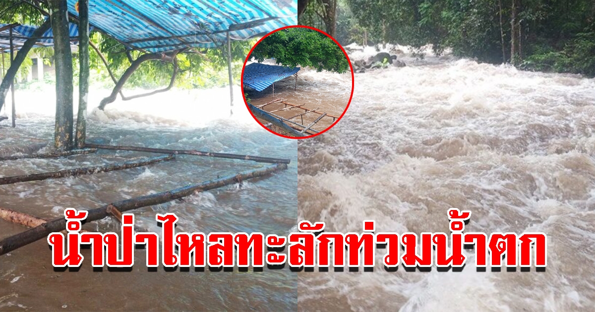 น้ำป่าอุทยานแห่งชาติเขาใหญ่ ไหลเข้าท่วมน้ำตก หลังฝนตกต่อเนื่อง