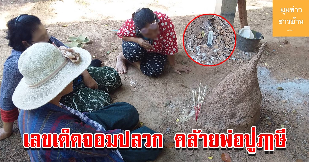 เลขจอมปลวกคล้ายพ่อปู่ฤาษี ที่ดินแดนคำชะโนด