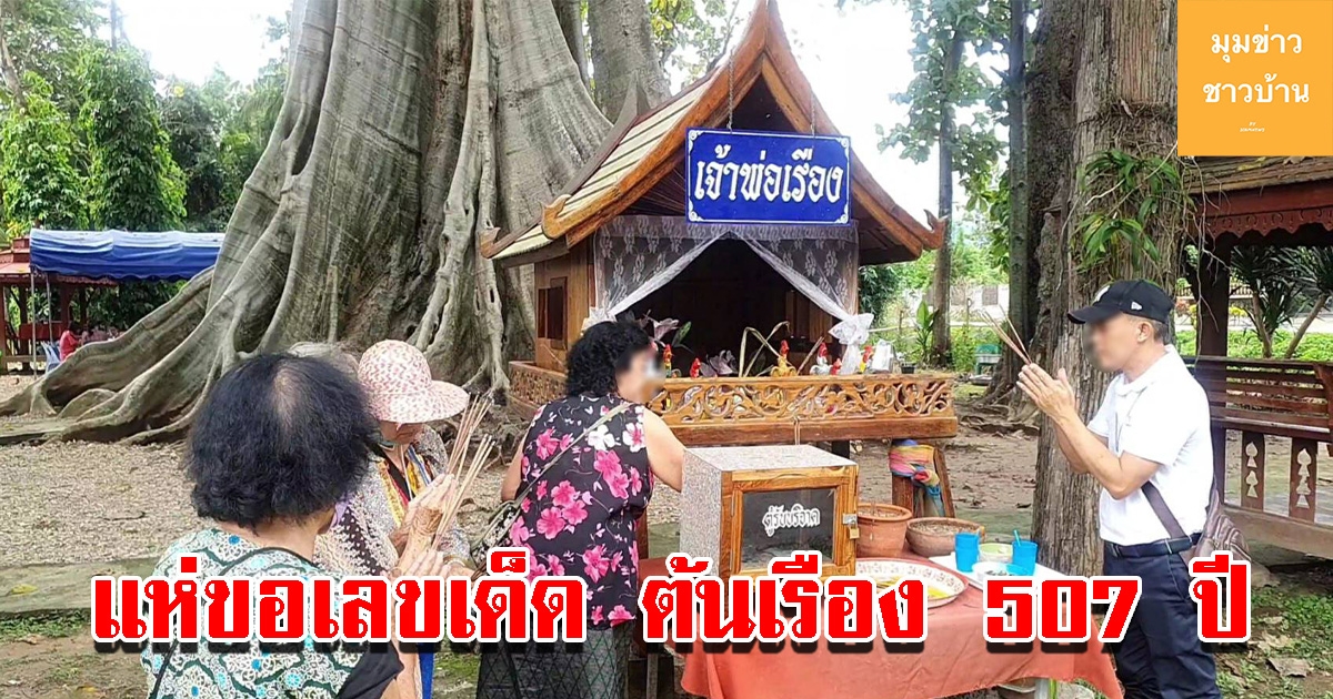แห่ขอเลข ต้นเรืองโบราณยักษ์ อายุ 507 ปี