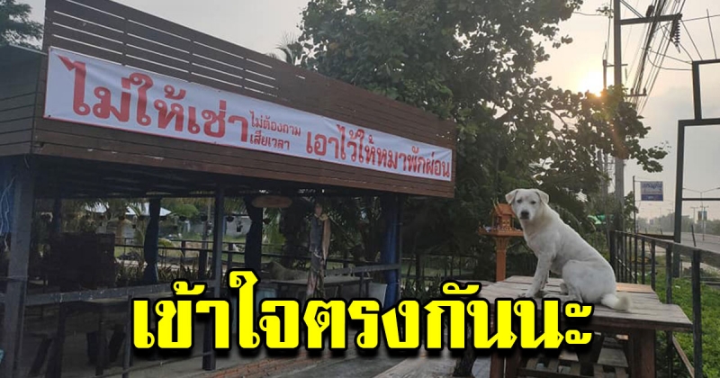 ชาวเน็ตชื่นชม หนุ่มโพสต์ ฤกษ์ดี ฉลองป้ายใหม่อย่างเป็นทางการ