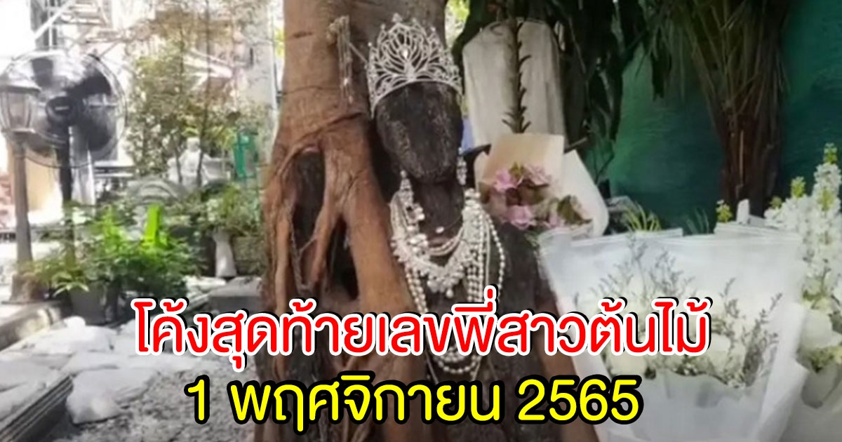 โค้งสุดท้าย เลขพี่สาวต้นไม้ 1 พ.ย.65