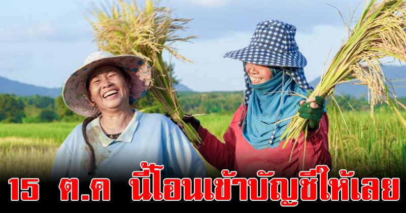 ประกันรายได้ข้าว งวดแรก 15 ต.ค.นี้ เกษตรกรรอเงินเข้าบัญชีได้เลย