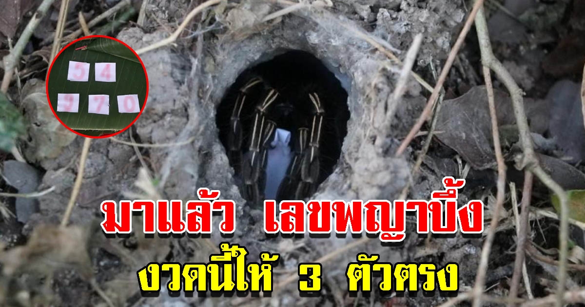 มาแล้ว เลขพญาบึ้ง ให้ 3 ตัวตรงๆ