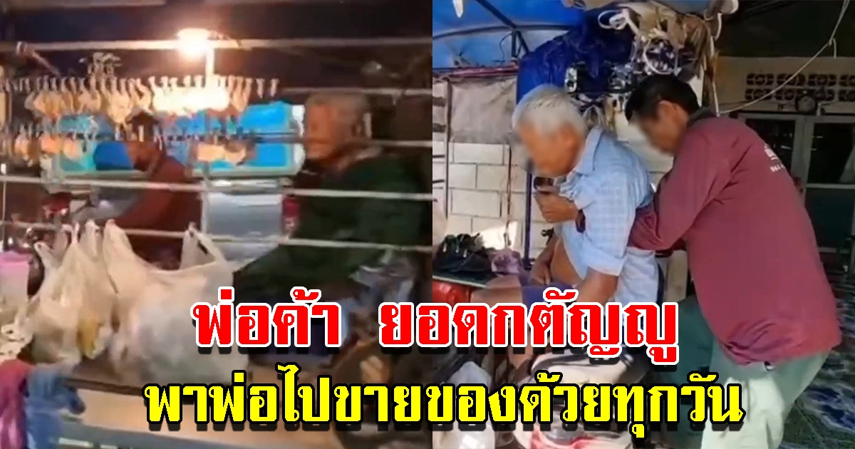 พ่อค้าปลาหมึกยอดกตัญญู พาพ่อไปขายของด้วยทุกวัน