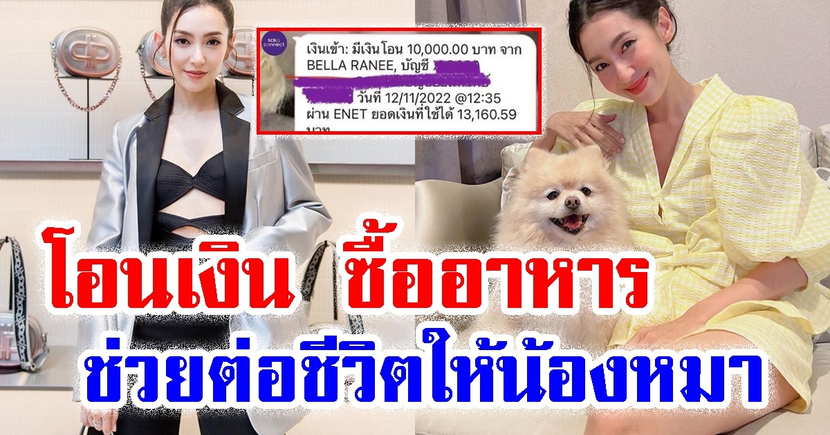 เบลล่า โอนเงิน ซื้ออาหาร ให้หมาจร 10,000 บาท น้ำผึ้ง ณัฐริกา ขอบคุณ ช่วยต่อชีวิตให้น้องหมา