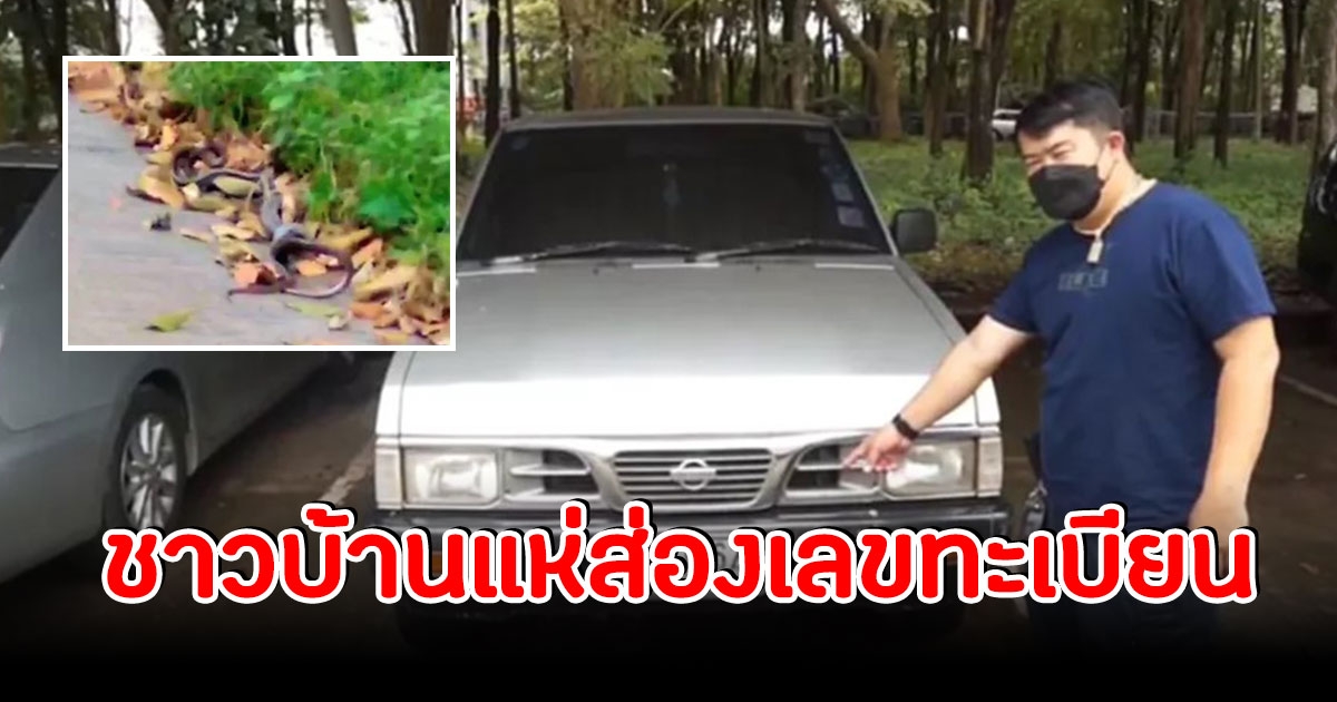 แห่ส่องเลขทะเบียน หนุ่มขับผ่านวัด เจองูเกี้ยวพาราสี เชื่อมาให้โชค