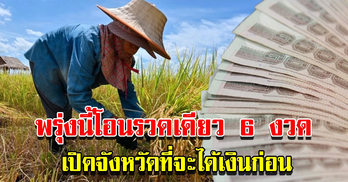 ชาวนาเฮ พรุ่งนี้ ธ.ก.ส.โอนประกันราคาข้าวรวดเดียว 6 งวด