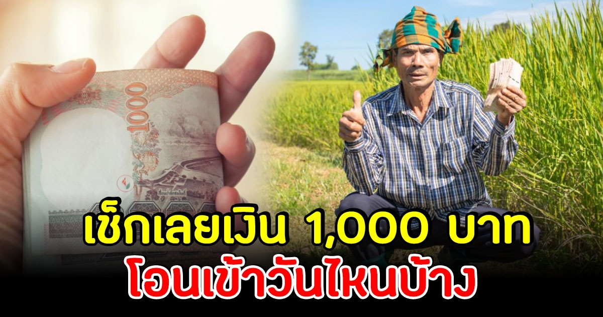 เช็กเลย ประกันรายได้ข้าว เงินช่วยเหลือชาวนาไร่ละ 1,000