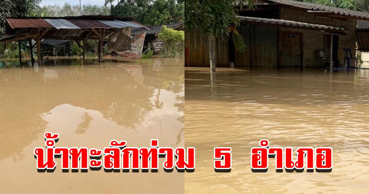 ตรังน้ำป่าหลากท่วมสูง 4 อำเภอ ชาวบ้านเดือดร้อนหนัก 3 ปีไม่เคยท่วม